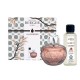 Set Regalo Lámpara Adagio Rose (Vidrio Lacado) + Recarga 250Ml Velours D´orient